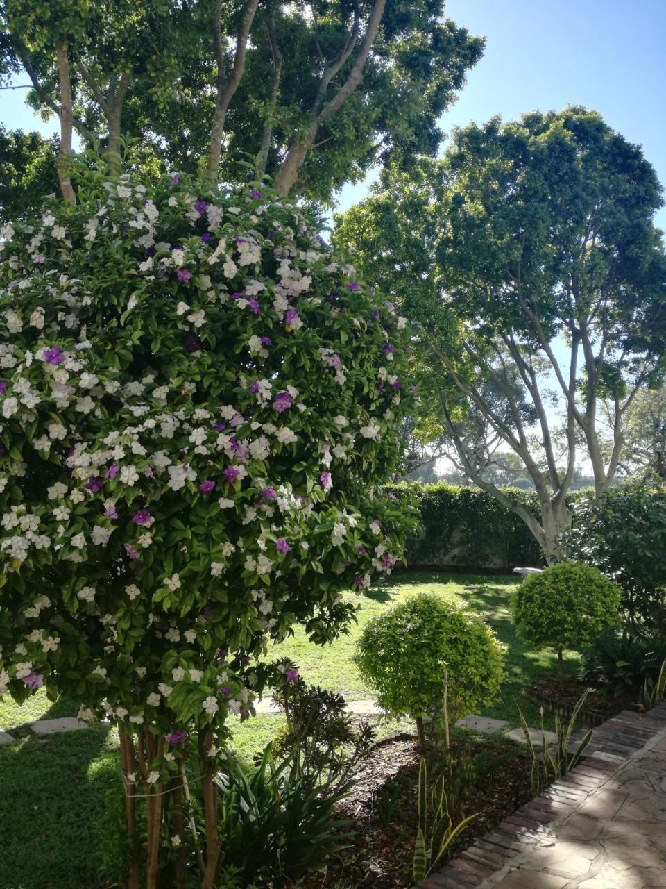 Chaston Manor Hotel Cape Town Exterior foto