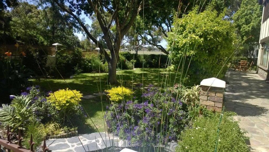Chaston Manor Hotel Cape Town Exterior foto